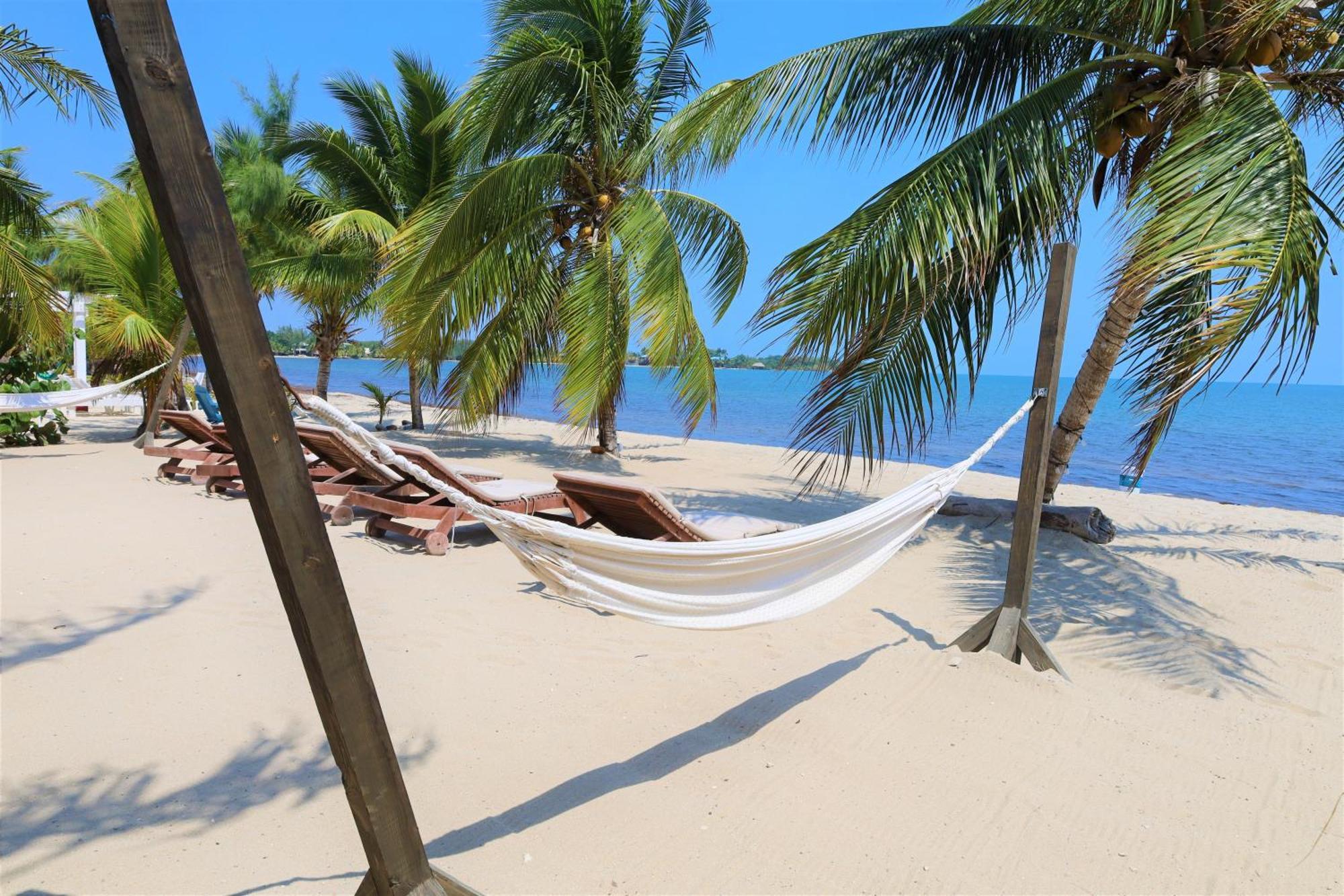 The Ellysian Boutique Hotel Placencia المظهر الخارجي الصورة